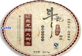 普洱茶有哪些古茶品牌？了解古树茶排名及优秀品牌名称