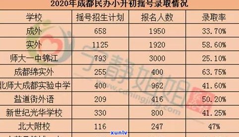 普洱投茶量：标准、黄金比例与合适份量解析