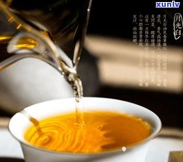 普洱茶投茶量太大-普洱茶投茶量太大怎么办