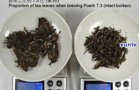 普洱茶的投茶比例：多少最合适？详细克数解析