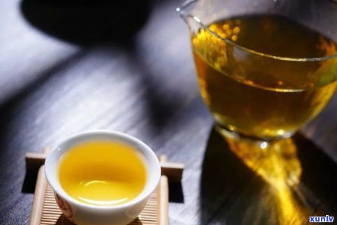 普洱茶哪个茶区的茶更好？口感、香气与产地比较