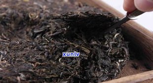 昌泽号普洱茶：古树纯料普洱价格与图片全览，深入了解品牌背景及发展历程