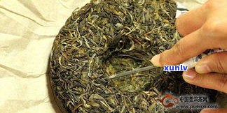 普洱茶：散茶与饼茶，哪种更好？