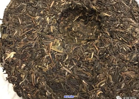 大益茶普洱茶分类-大益茶普洱茶分类有哪些