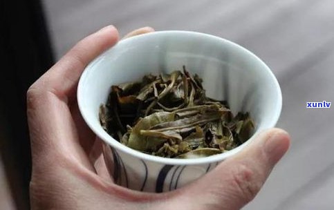 普洱茶古树茶颜  别：图片展示与详细解析