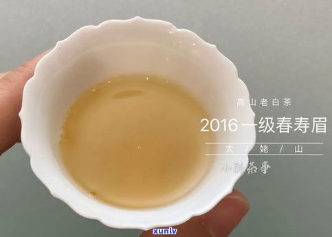 探究古树普洱茶汤颜色：深浅、变化与特点