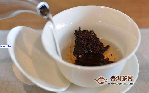 普洱紫条王：生茶还是熟茶？价格多少？全解！