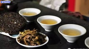 存普洱茶选什么茶叶好？了解茶叶种类、品质和保存 *** 的选择建议