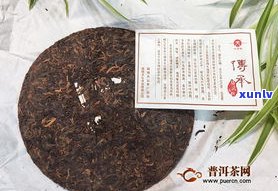 普洱茶与易武熟茶：口感、品质及适宜人群全面比较