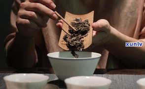 普洱茶没味道？真相是什么？口感与品质的关系解析