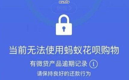 熟悉花呗逾期的严重结果：作用信用、产生罚息、可能被起诉！