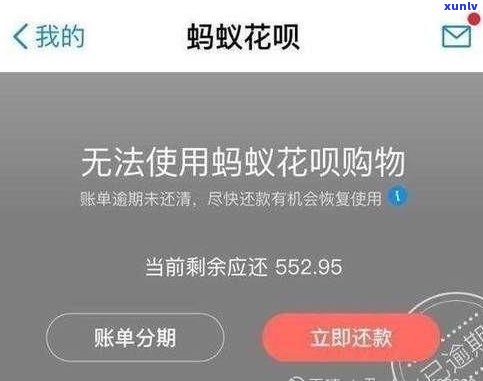 花呗逾期，别的支付宝能否使用？安全性如何？知乎上的答案靠谱吗？