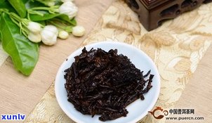 云南龙润普洱茶多少钱一饼？价格、口感全解析！