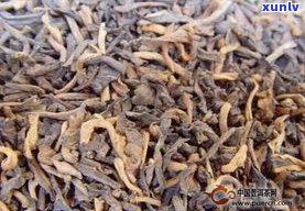 普洱茶里都是茶梗怎么办？有无茶梗对品质的影响是什么？