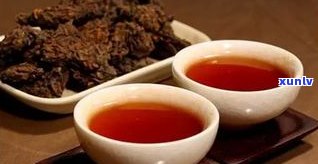 普洱茶需要掺茶梗-普洱茶需要掺茶梗吗