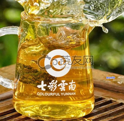 青云普洱生茶价格：云南青云茶厂产品全览与查询