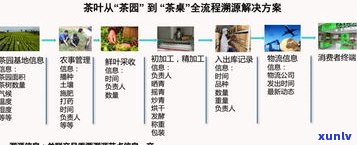 普洱茶中内含物的种类与含量探究