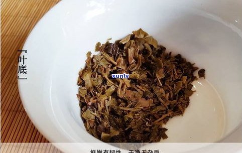 茉莉沱普洱茶生茶-茉莉花沱茶普洱