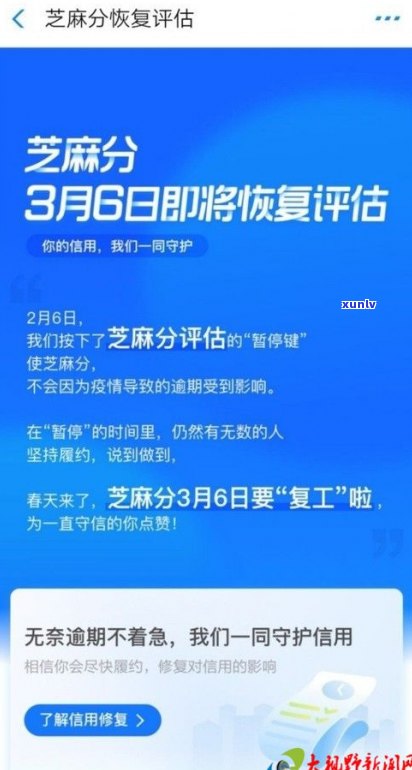 花呗逾期后，支付宝仍能正常采用吗？详解解决方案