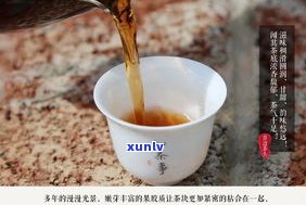 普洱茶老茶头盒装图片大全：价格、高清展示全收录