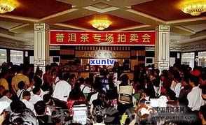 普洱茶博览会：时间、官网及开幕式信息一网打尽