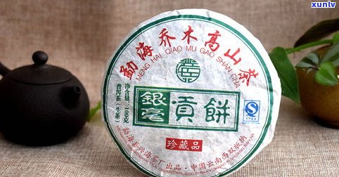 2008年普洱茶生茶：价格、品质与收藏价值全解析