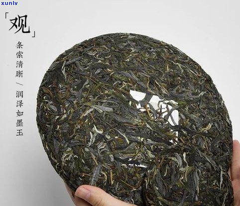 茶叶普洱茶熟茶饼-茶叶普洱茶熟茶饼怎么泡