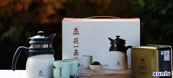 比较：泾渭茯茶与普洱茶的口感优劣及区别