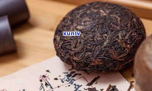 普洱茶老茶厂：介绍、种类与排名全解析