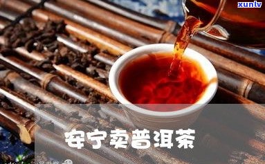 普洱茶茶饼价格2023年会涨吗？探讨起因及市场预测