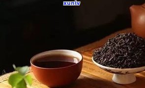 民间普洱茶藏茶量-民间普洱茶藏茶量多少