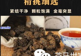 陈年普洱茶老茶头-陈年普洱茶老茶头能喝吗