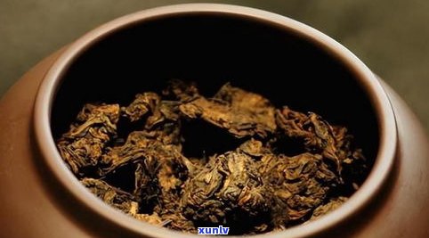 熟普洱味道为何像大麦茶？揭秘两者相似之处与区别