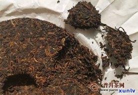 熟普洱味道为何像大麦茶？揭秘两者相似之处与区别