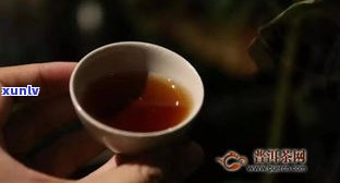 普洱茶老茶很贵吗？探讨其价值起因与品鉴  