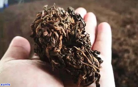 什么叫普洱老茶头？详解普洱老茶头的定义、特点与图片