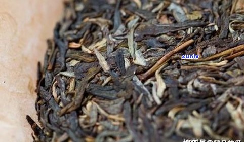 什么叫普洱老茶头？详解普洱老茶头的定义、特点与图片