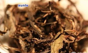 普洱茶野放大树茶-野放和野生普洱茶区别