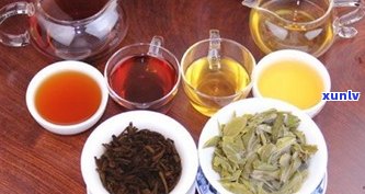 黑茶与普洱茶工艺一样吗？探讨两者区别与联系