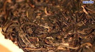 深入解析：黑茶与普洱茶的区别及功效