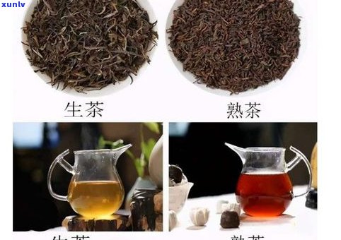 普洱茶生茶原料：深入了解其来源与 *** 工艺