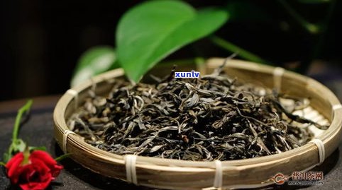 普洱茶生茶原料是-普洱茶生茶原料是什么