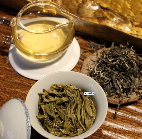 普洱茶生茶原料是-普洱茶生茶原料是什么