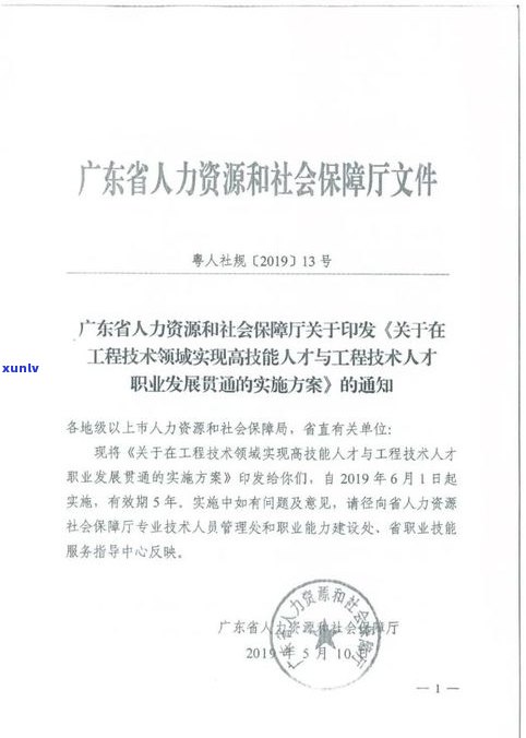 湛江翡翠鉴定机构地址查询：全面解答如何找到正规鉴定中心