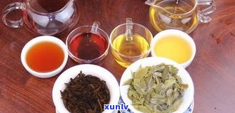 柠檬普洱茶：生茶还是熟茶？功效解析