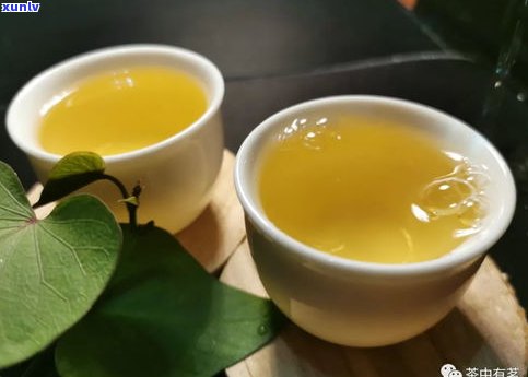 柠檬普洱茶是生茶-柠檬普洱茶是生茶还是熟茶