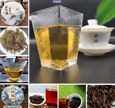 冰中岛茶魂普洱茶-冰中岛茶魂怎么样