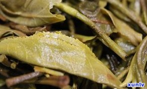 普洱茶皇后茶易武-普洱 易武 皇后