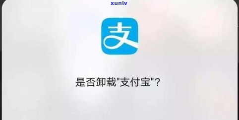 欠的花呗卸载了就可以不用还钱了吗？安全吗？结果是什么？