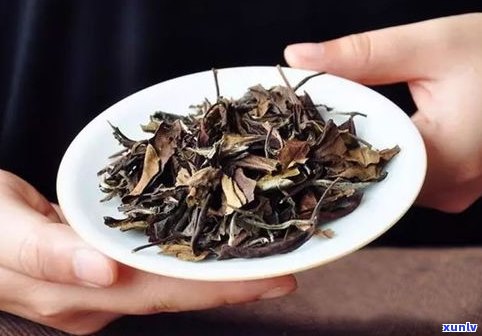 普洱茶散茶的优点-普洱茶散茶的优点和缺点